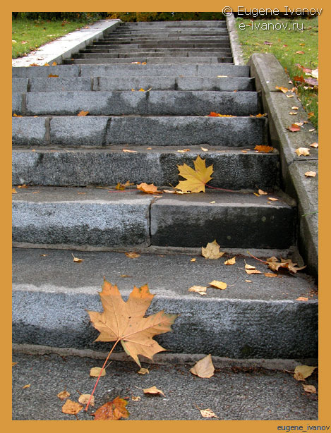 Гулял 29.09.2007 на Воробьёвых горах пешком и фотографировал осень, листья и лестницы.