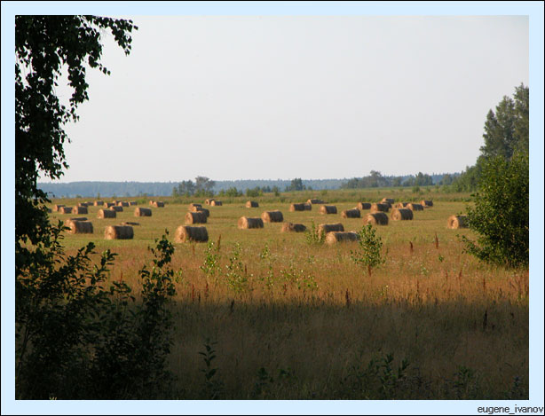 Июль 2008. Нижегородская область. Стога сена на полях
