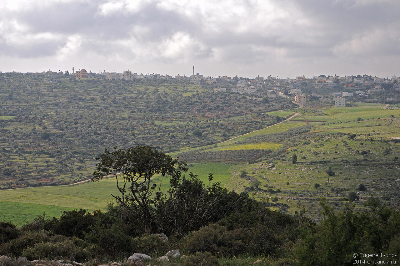2 апреля 2014. Израиль, гора Гильбоа. Палестинский посёлок Arabuna