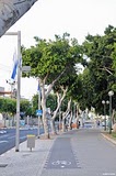 <?=$keywords?> - Тел-Авив, велосипедные дорожки, раннее утро